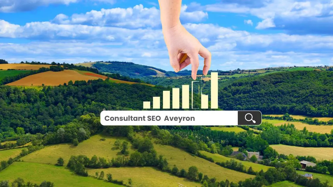 consultant seo aveyron